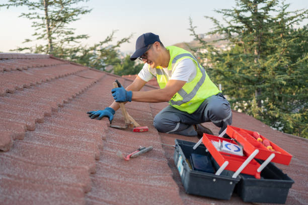 Best Roof Gutter Cleaning  in Rockport, IN