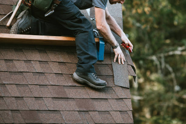 Best Roof Maintenance Services  in Rockport, IN